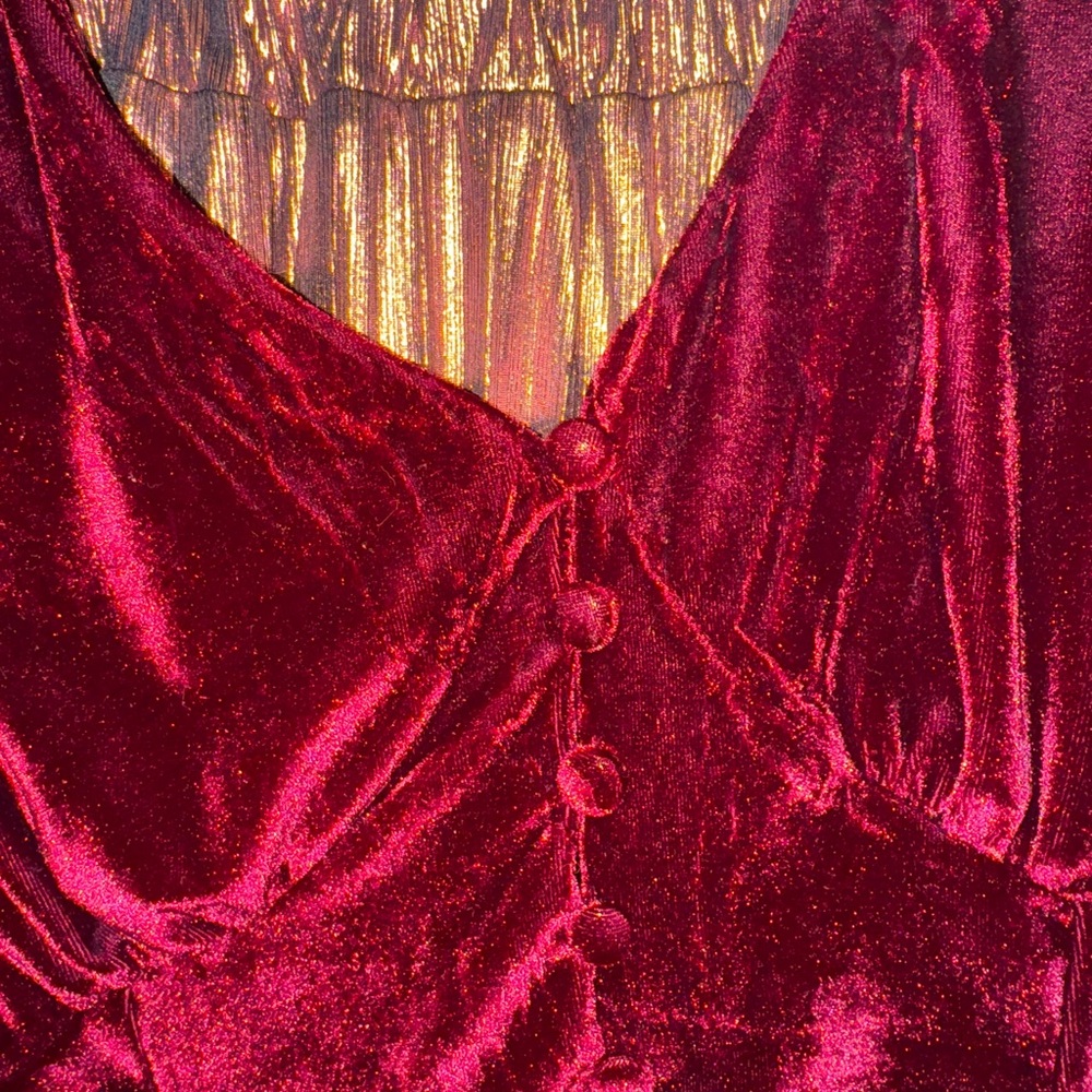 Velvet Wine top with metallic pink skirt